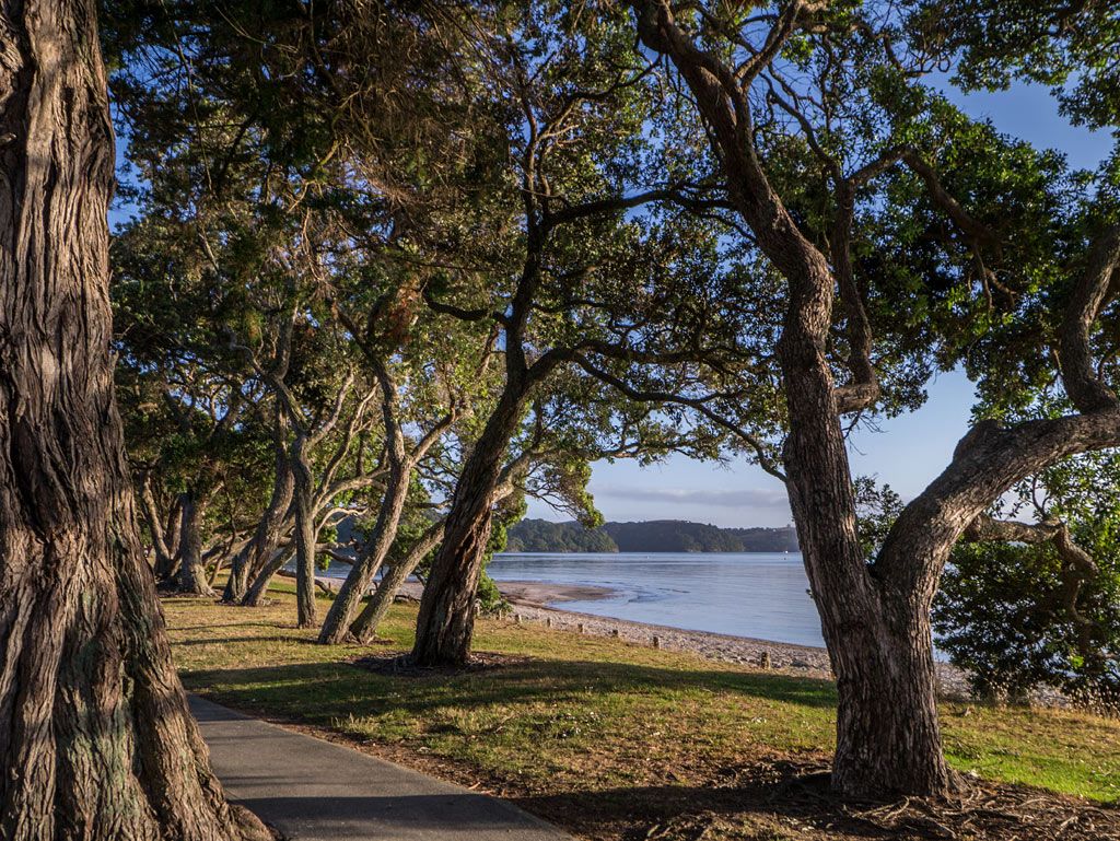 IMAGE: http://i14.photobucket.com/albums/a310/scotttnz/P1060673_zpschwaphky.jpg