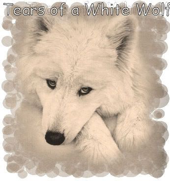 Tears of a White Wolf