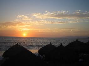 IMG_5045.jpg