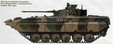 th_BMP-2D01.jpg