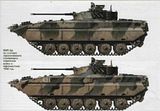 th_BMP-2D05.jpg