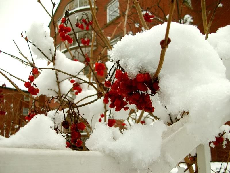 Winter on Hathersage Road