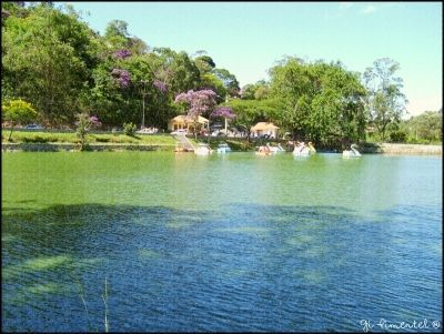 Miguel Pereira - Lago Javary
