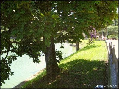 Miguel Pereira - Lago Javary