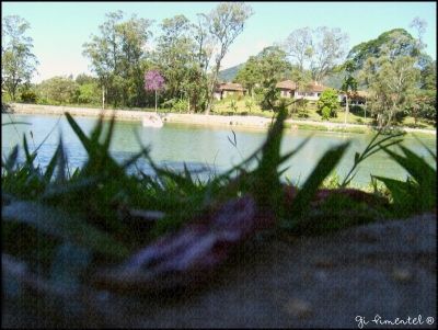 Miguel Pereira - Lago Javary