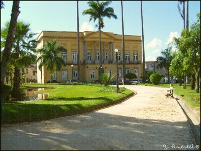 Vassouras