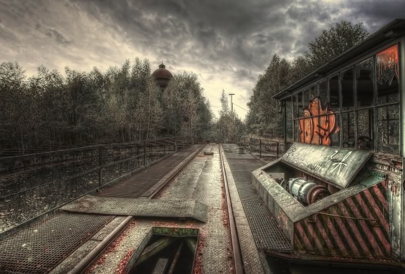 Fotografie