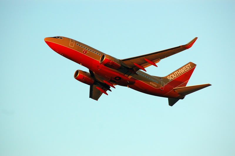 7373swfll.jpg