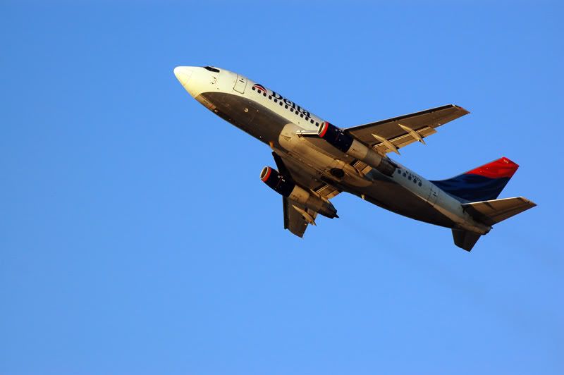 dl737fll.jpg