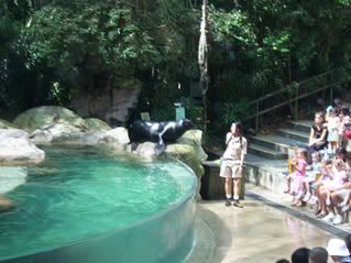 Carlos, the seal, perfoming for the visitors