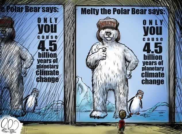 Melty The Polar Bear