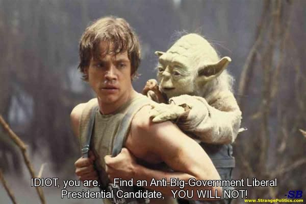 Luke-Yoda Dem Pres Candidate