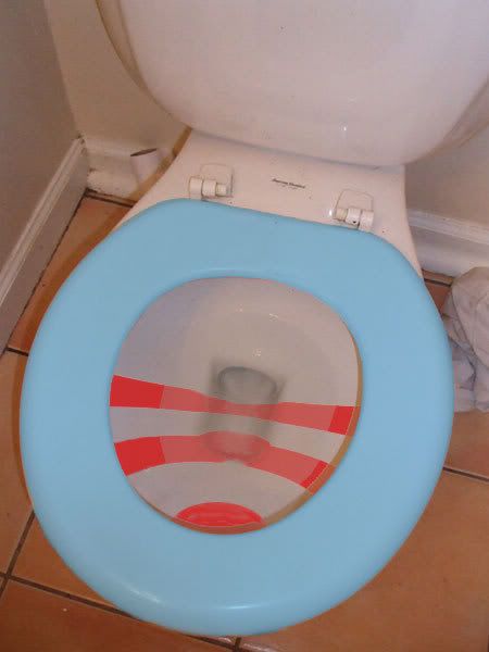 Obama Toilet