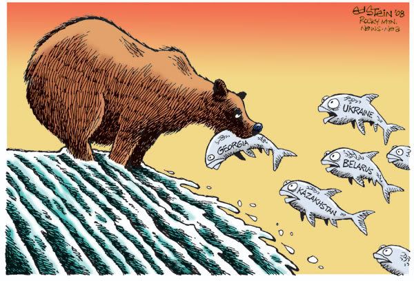 Russian Bear Fishing