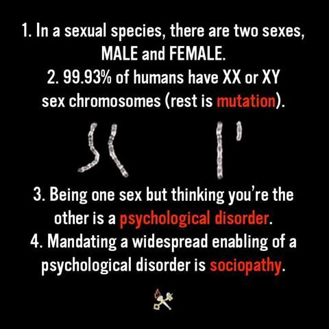  photo chromosomes.jpg