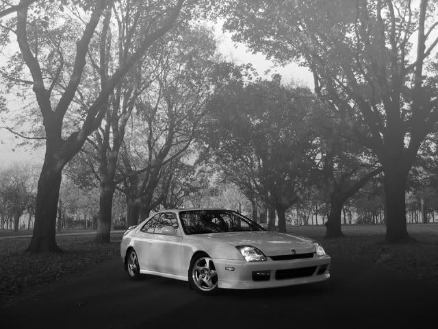 IMAGE: http://i14.photobucket.com/albums/a320/mrludecrs/11copyWEB.jpg