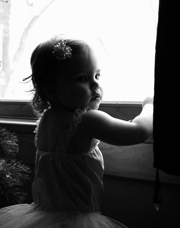 IMAGE: http://i14.photobucket.com/albums/a320/mrludecrs/3.jpg