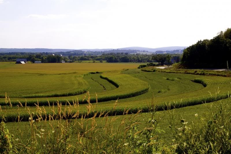 IMAGE: http://i14.photobucket.com/albums/a320/mrludecrs/Baraboo%202013/IMG_1242.jpg