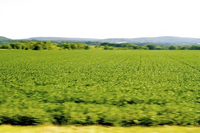 IMAGE: http://i14.photobucket.com/albums/a320/mrludecrs/Baraboo%202013/IMG_1248.jpg