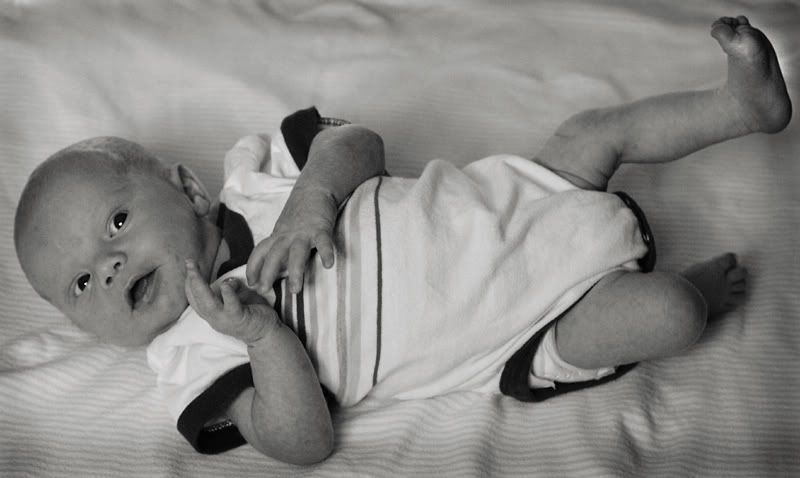 IMAGE: http://i14.photobucket.com/albums/a320/mrludecrs/IMG_0231.jpg