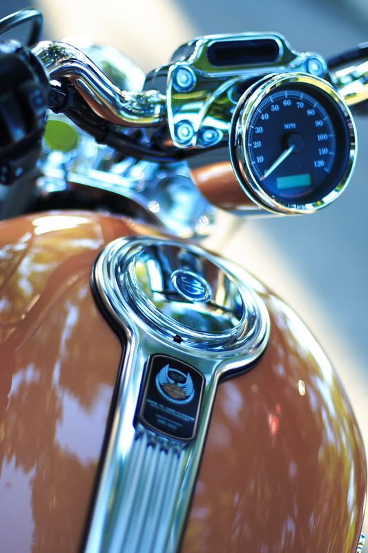 IMAGE: http://i14.photobucket.com/albums/a320/mrludecrs/IMG_9911.jpg