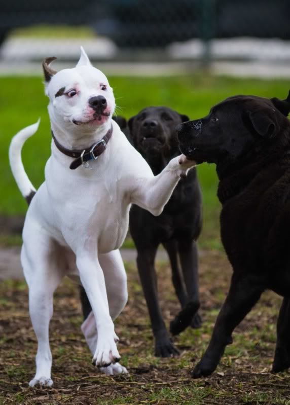 IMAGE: http://i14.photobucket.com/albums/a321/ayamisuka/IMG_0120-1.jpg