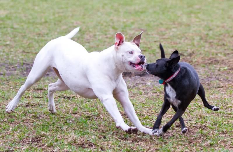 IMAGE: http://i14.photobucket.com/albums/a321/ayamisuka/IMG_0222-1.jpg