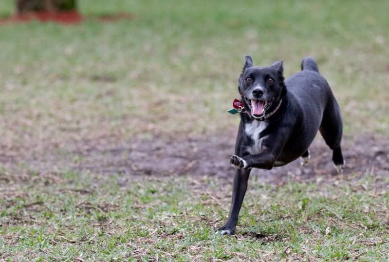 IMAGE: http://i14.photobucket.com/albums/a321/ayamisuka/IMG_0296.jpg