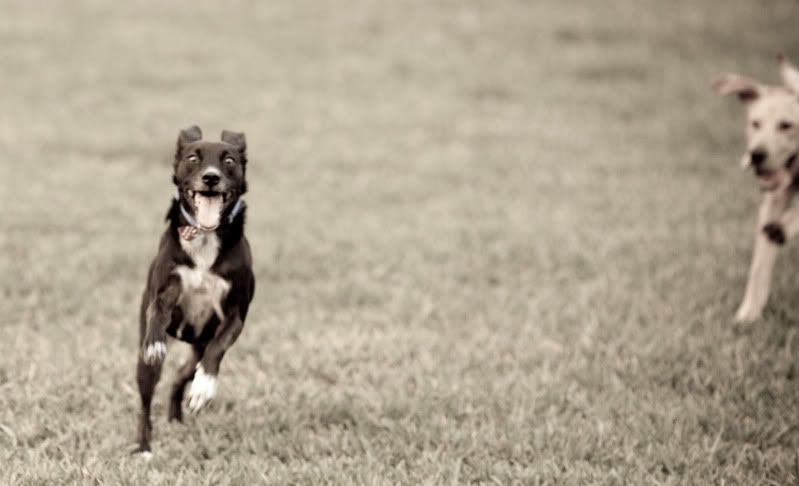 IMAGE: http://i14.photobucket.com/albums/a321/ayamisuka/IMG_7795.jpg