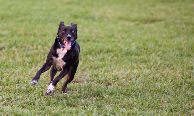 IMAGE: http://i14.photobucket.com/albums/a321/ayamisuka/IMG_7798.jpg