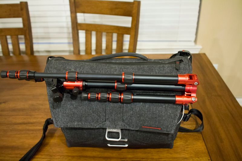 IMAGE: http://i14.photobucket.com/albums/a321/mystik610/IMG_6303_zpstxdtodlw.jpg