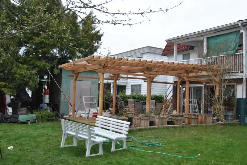 Japanese Pergola