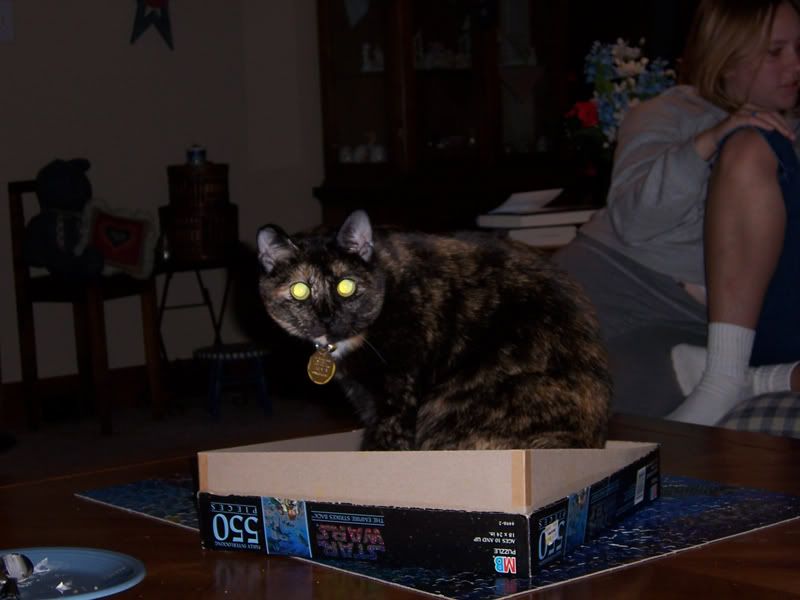 ginger_likes_puzzles.jpg