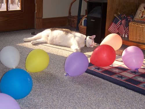 party.jpg