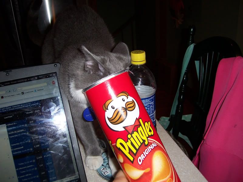 pringle_fiend.jpg