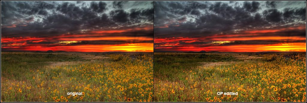 IMAGE: http://i14.photobucket.com/albums/a323/rathgarb/IMG_0427_8_9_1newww.jpg