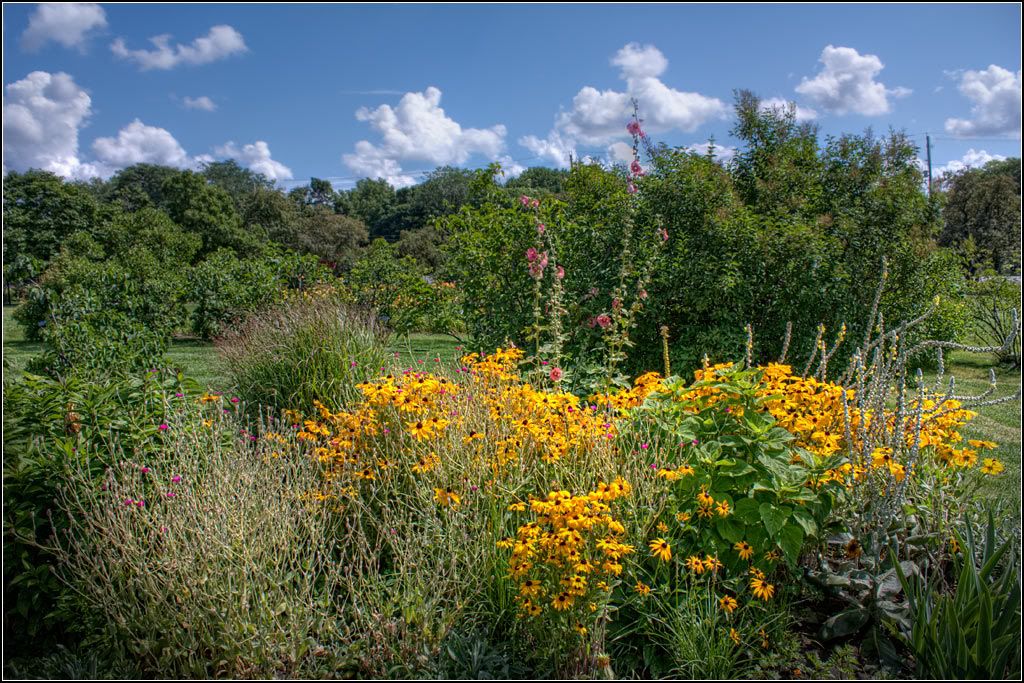 IMAGE: http://i14.photobucket.com/albums/a323/rathgarb/IMG_3607_8_9_ppwww.jpg