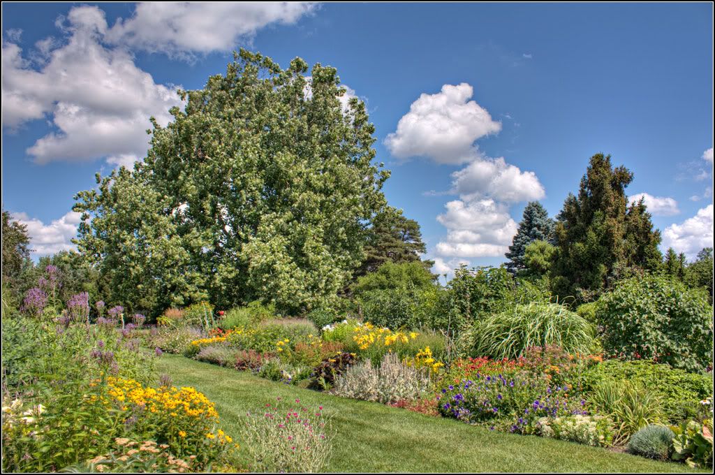 IMAGE: http://i14.photobucket.com/albums/a323/rathgarb/IMG_3640_1_2_TMPPWWW.jpg