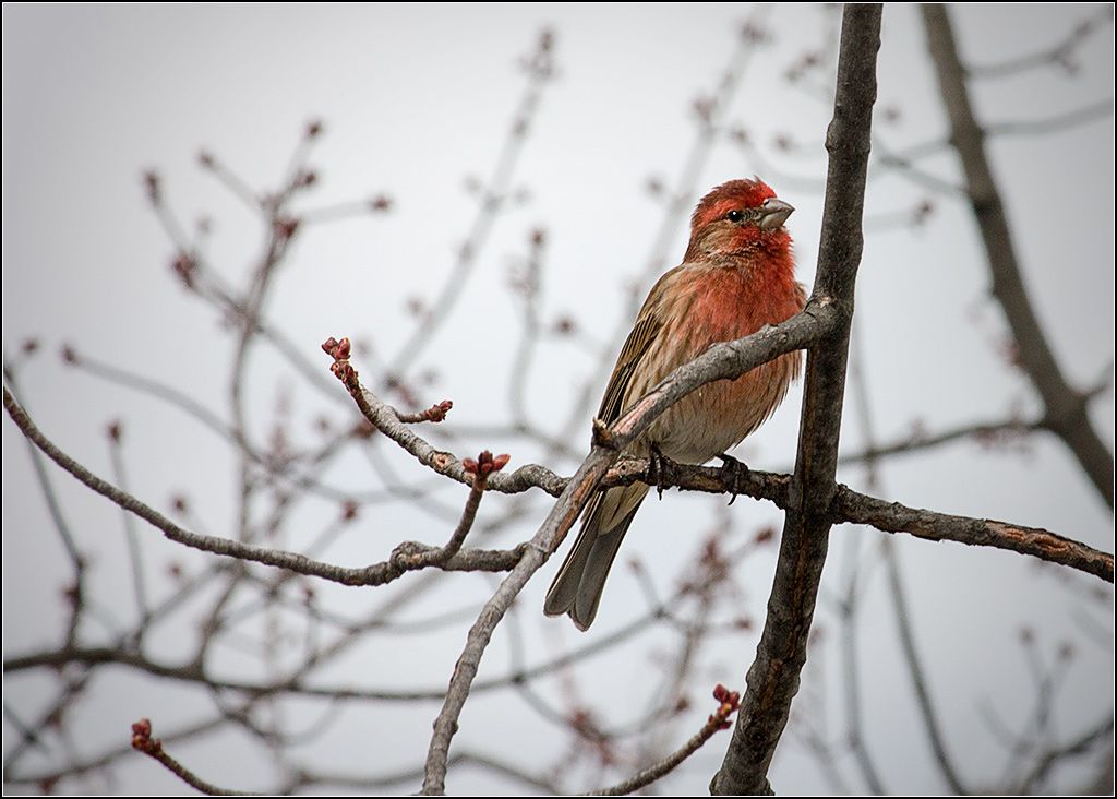 IMAGE: http://i14.photobucket.com/albums/a323/rathgarb/IMG_6092ppwww_zps1e4f91dc.jpg