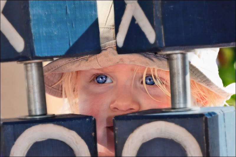 IMAGE: http://i14.photobucket.com/albums/a323/rathgarb/IMG_8649-postB.jpg