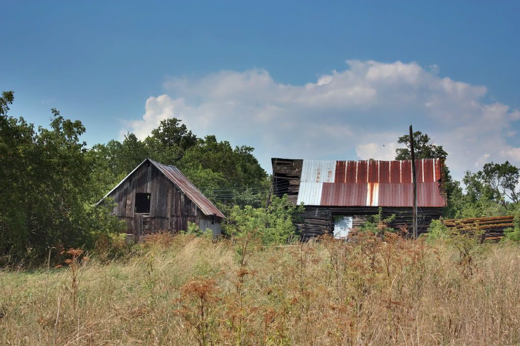 IMAGE: http://i14.photobucket.com/albums/a323/rathgarb/MedChanceFusionIMG_3743www.jpg