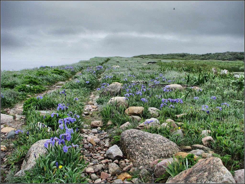 IMAGE: http://i14.photobucket.com/albums/a323/rathgarb/Pix/IMG_0357_fhdrPPWWW.jpg