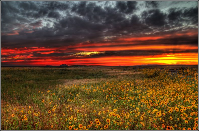 IMAGE: http://i14.photobucket.com/albums/a323/rathgarb/Pix/IMG_0427_8_9_tonemappedcopy1ppwww.jpg