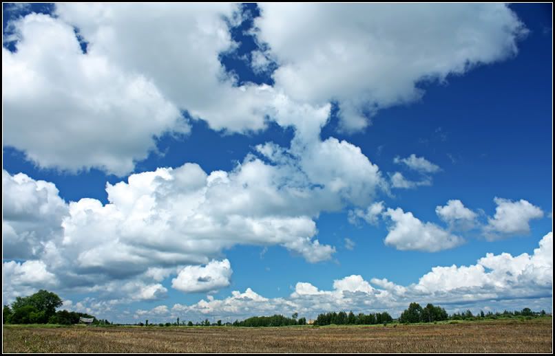 IMAGE: http://i14.photobucket.com/albums/a323/rathgarb/Pix/IMG_0477ppWWW.jpg