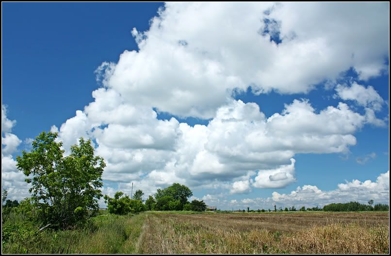 IMAGE: http://i14.photobucket.com/albums/a323/rathgarb/Pix/IMG_0482ppWWW.jpg