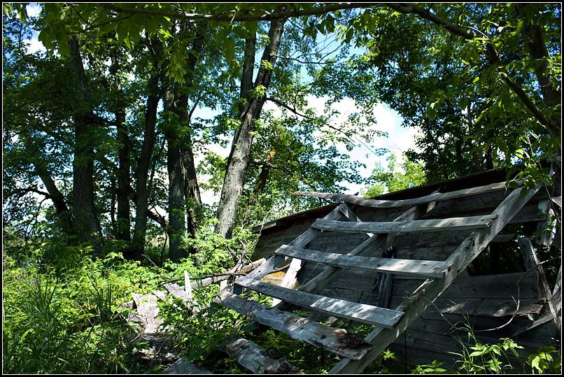 IMAGE: http://i14.photobucket.com/albums/a323/rathgarb/Pix/IMG_0502-1ppwww.jpg