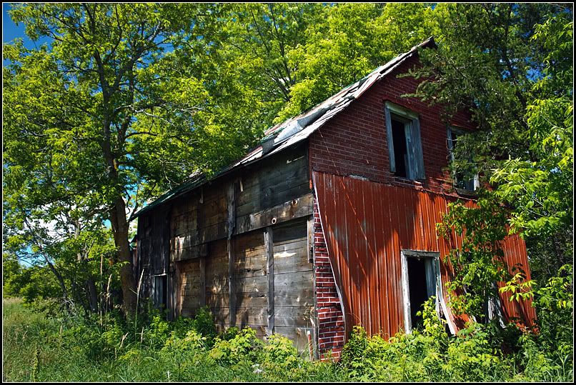 IMAGE: http://i14.photobucket.com/albums/a323/rathgarb/Pix/IMG_0512-1PPWWW.jpg