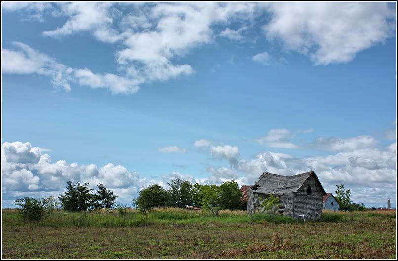 IMAGE: http://i14.photobucket.com/albums/a323/rathgarb/Pix/IMG_0597_fhdrwww.jpg