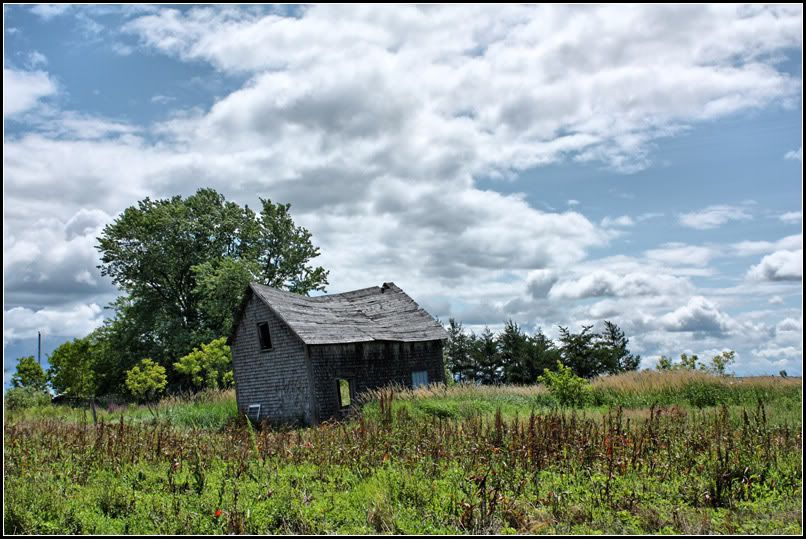 IMAGE: http://i14.photobucket.com/albums/a323/rathgarb/Pix/IMG_0618_fhdrwww.jpg