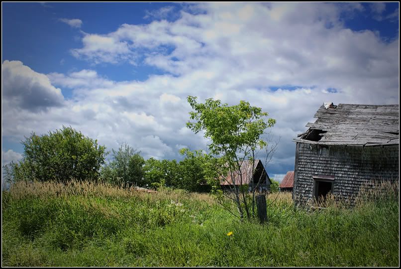 IMAGE: http://i14.photobucket.com/albums/a323/rathgarb/Pix/IMG_0626_fhdrPPWWW.jpg